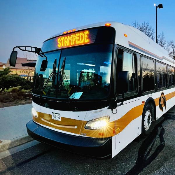 Buff Bus