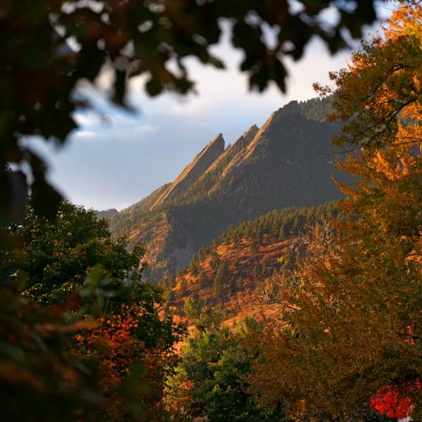 The Flatiron Mountains in Boulder as seen through the leaves of several trees