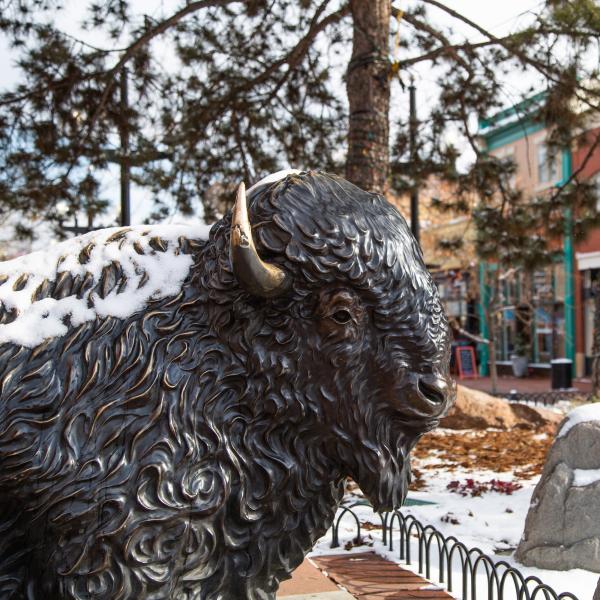 snow on a buffalo sculpture on Pearl Street