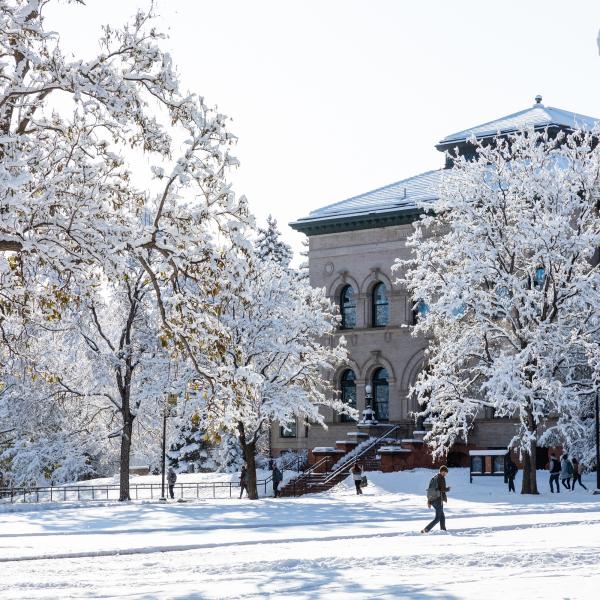 A snowy scene on the CU Boulder campus with snow-covered trees and grass.