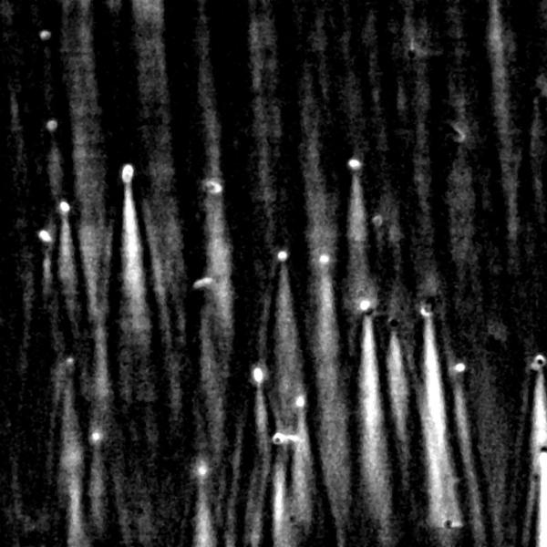 light pillars
