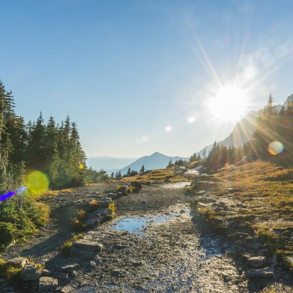 mountain scenery
