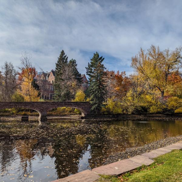Varsity Lake with pine trees and colorful fall foliage in muted tones.