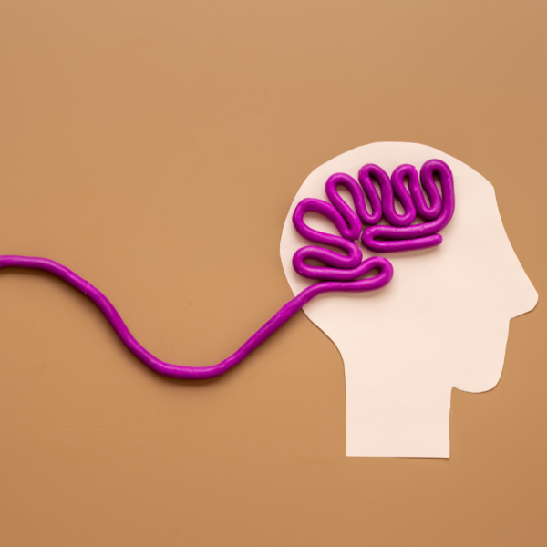 illustration of a brain