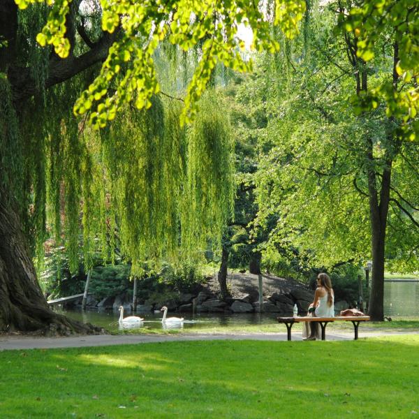 person sitting on a bench in a park