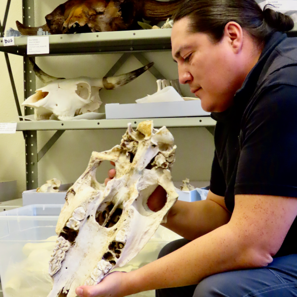 Man sits holding a horse skull in his hands