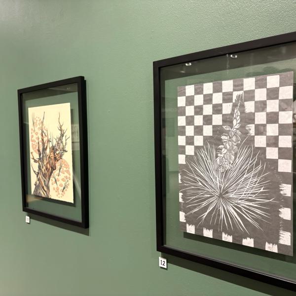 prints on display at the CU Art Museum