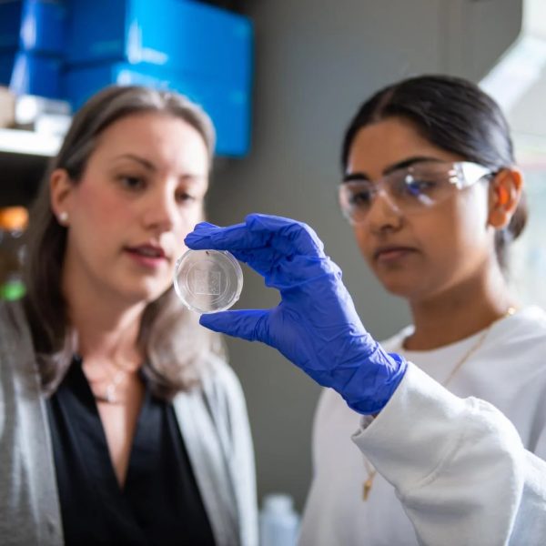chemical and biological engineering researchers in the lab