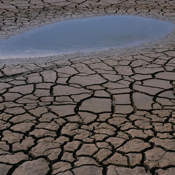 dry, barren land
