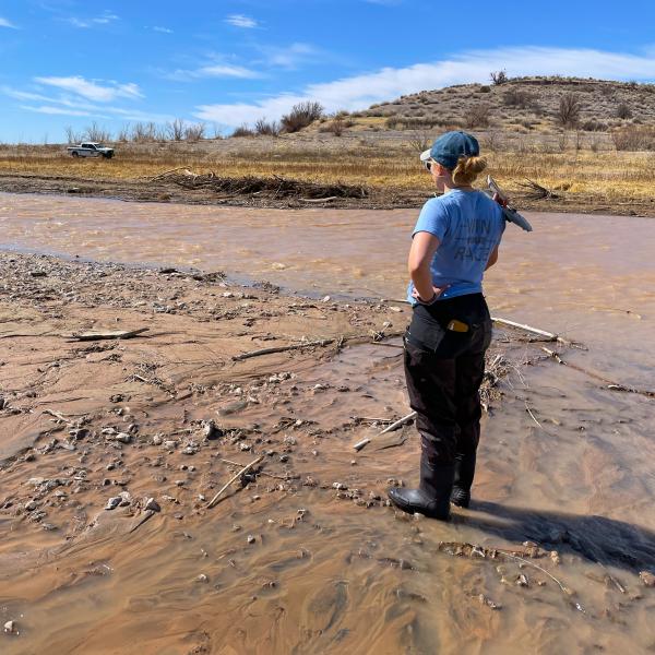 researcher in the field