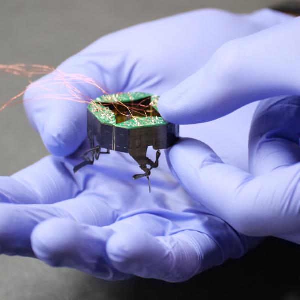 Hands wearing purple gloves hold a tiny robot with wires running from it