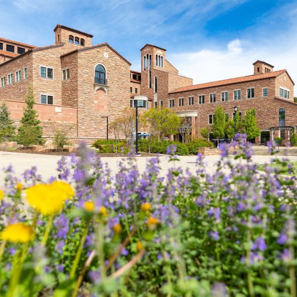 flowers in front of a campus building