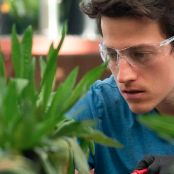 student in the lab