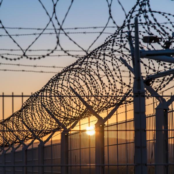 A barbed wire fence