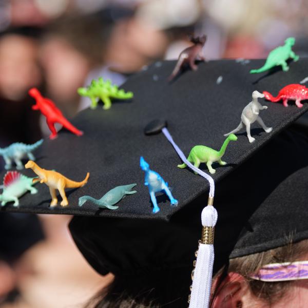 Graduation cap decorated with tiny toy dinosaurs