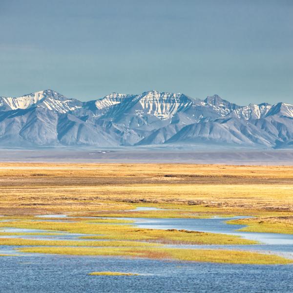 wetlands and snowy mountains of Arctic National Wildlife Refuge