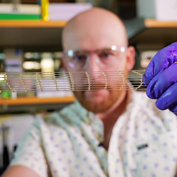 A person wearing clear safety googles and purple plastic gloves looks through a strip of mesh-like material. (Casey Cass)