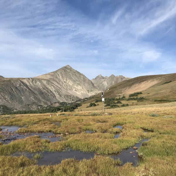 Colorado mountain wetlands