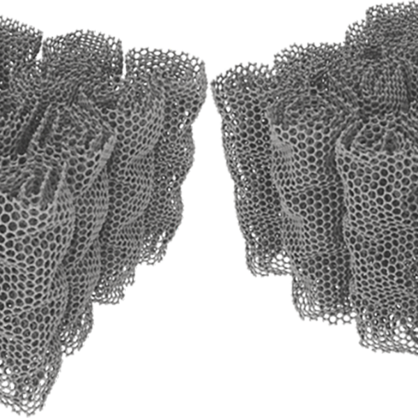 carbon nanotubes