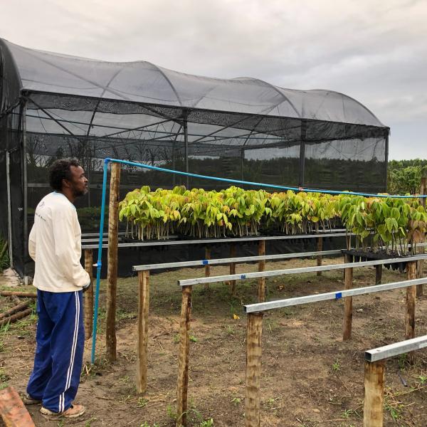 A man in reforestation nursery