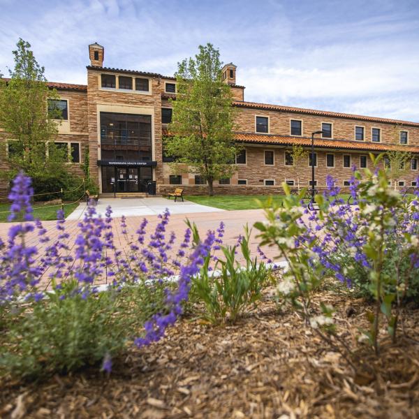 landscaping in front of Wardenburg Health Center