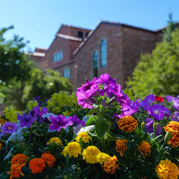flowers on campus