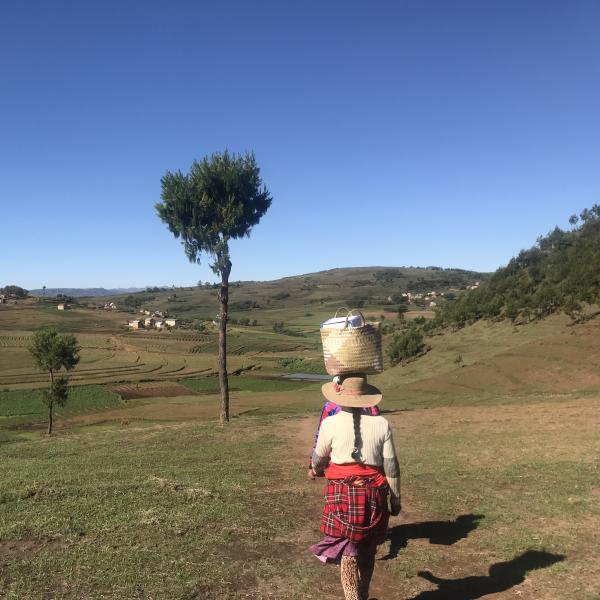 A vaccine distribution walk in Madagascar