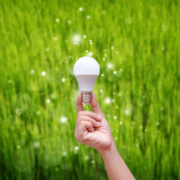 hand holding an LED lightbulb