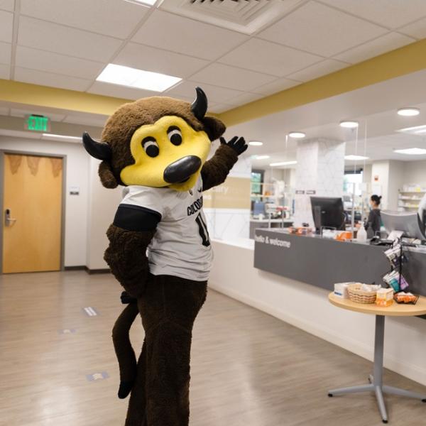 Chip the buffalo mascot at Wardenburg