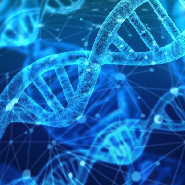 Strands of DNA shown in blue