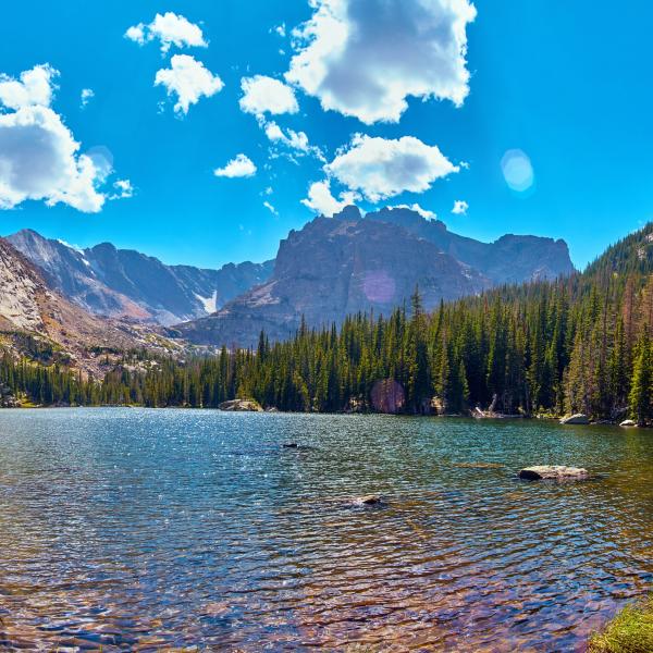 A sunny mountain pond is surrounded by evergreens and peaks.