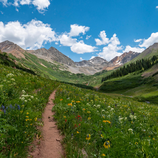 trail at Rustlers Gulch