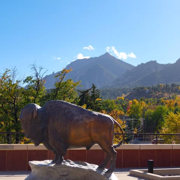 buffalo sculpture on the CASE rooftop