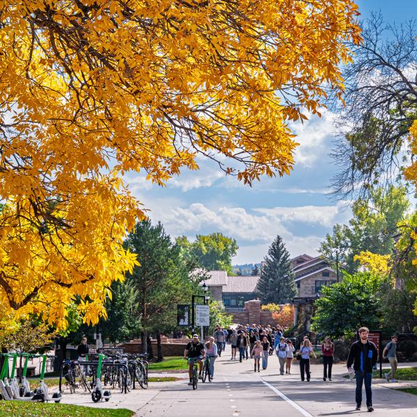campus community members on campus during fall