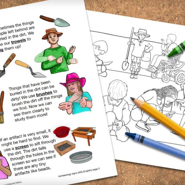 Children's archaeology activities