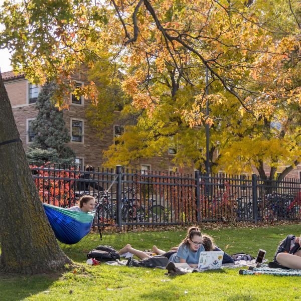 students studying outside and lounging on a hammock