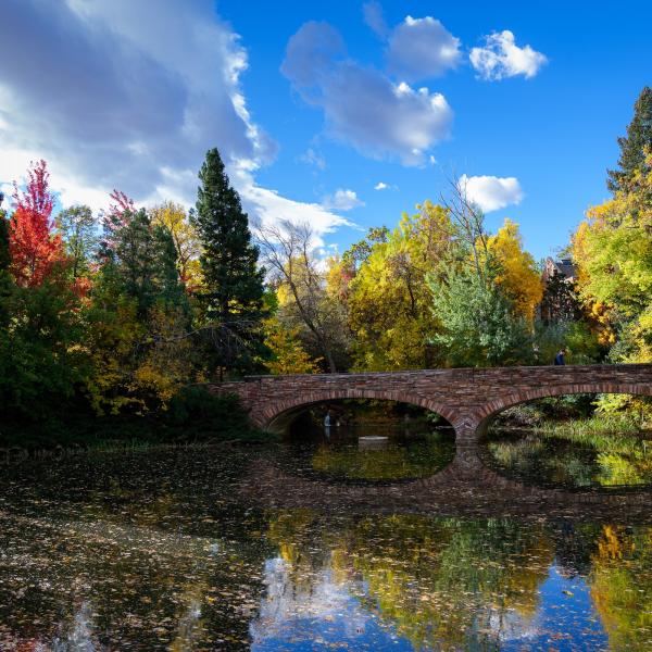 bridge at Varsity Lake