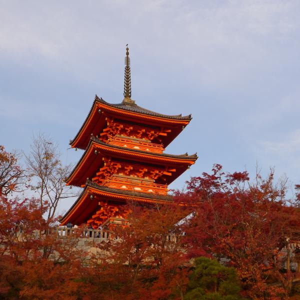 Kyoto, Japan, in the fall