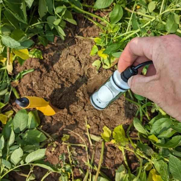 Hand lowers electronic device toward dirt