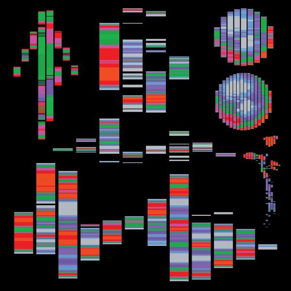 illustration of various research disciplines