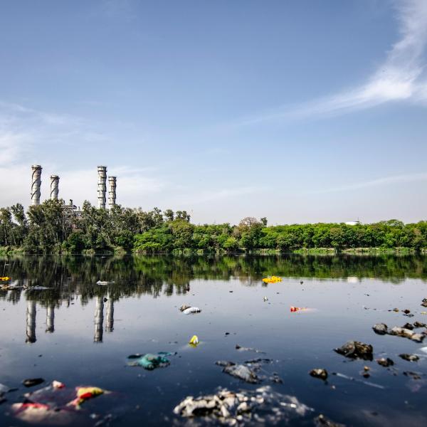 Garbage on a body of water