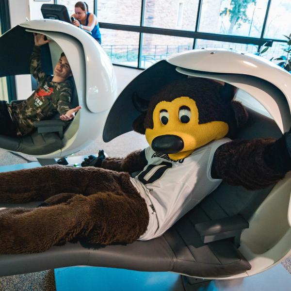 Chip the buffalo mascot in a nap pod