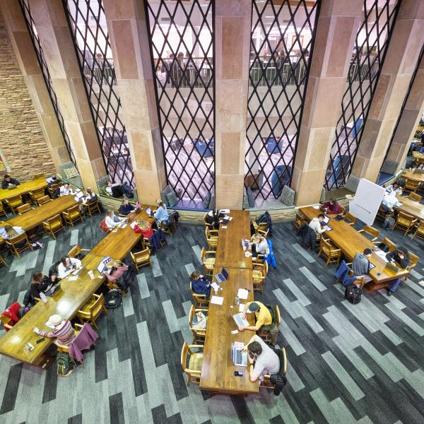 students studying in Norlin Library