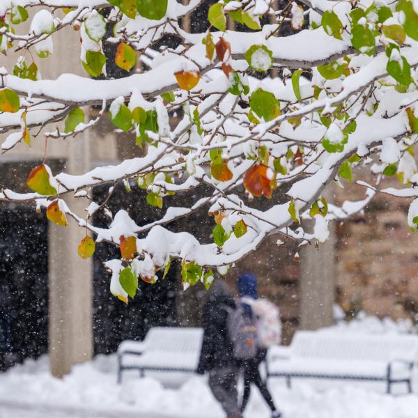 campus community members outside on a snowy day