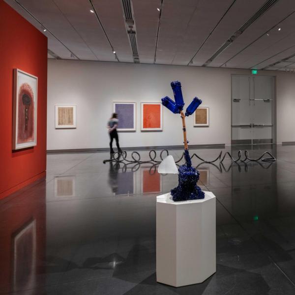 Tim Whiten: Tools of Conveyance (Installation view)