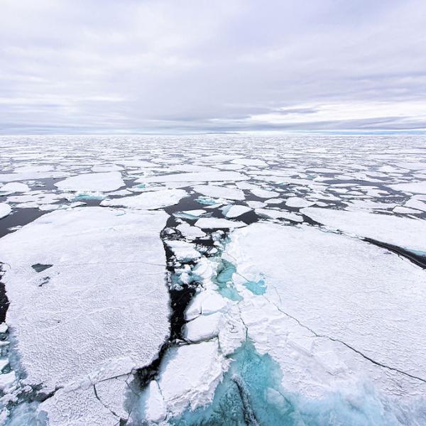 sea ice