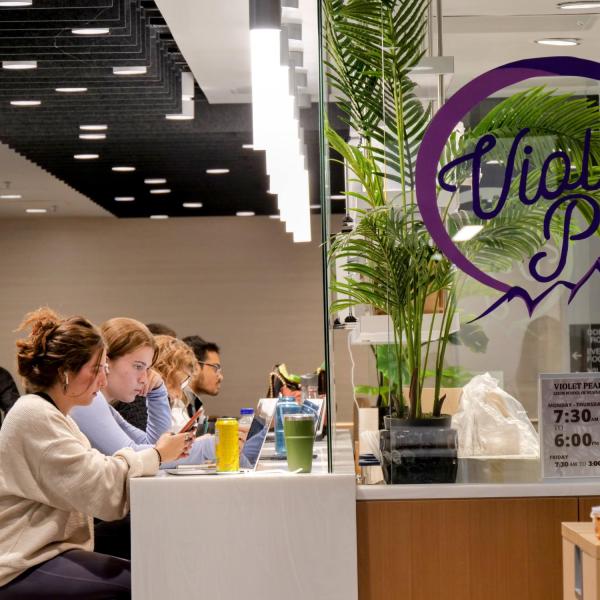 Students sit at a bar studying in Violet Peak Cafe