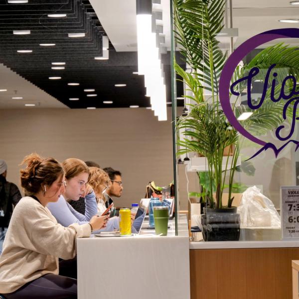 Students study in the Violet Peak cafe on campus