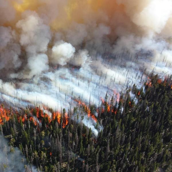 Wildfire smoke