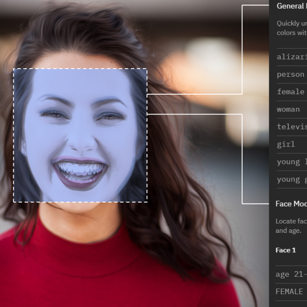 A woman seen through facial recognition software